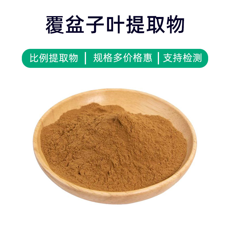Raspberry Leaf Extract